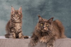 Bounty & Te-Kã